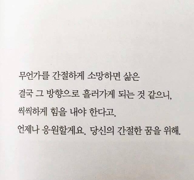 디델리 이미지