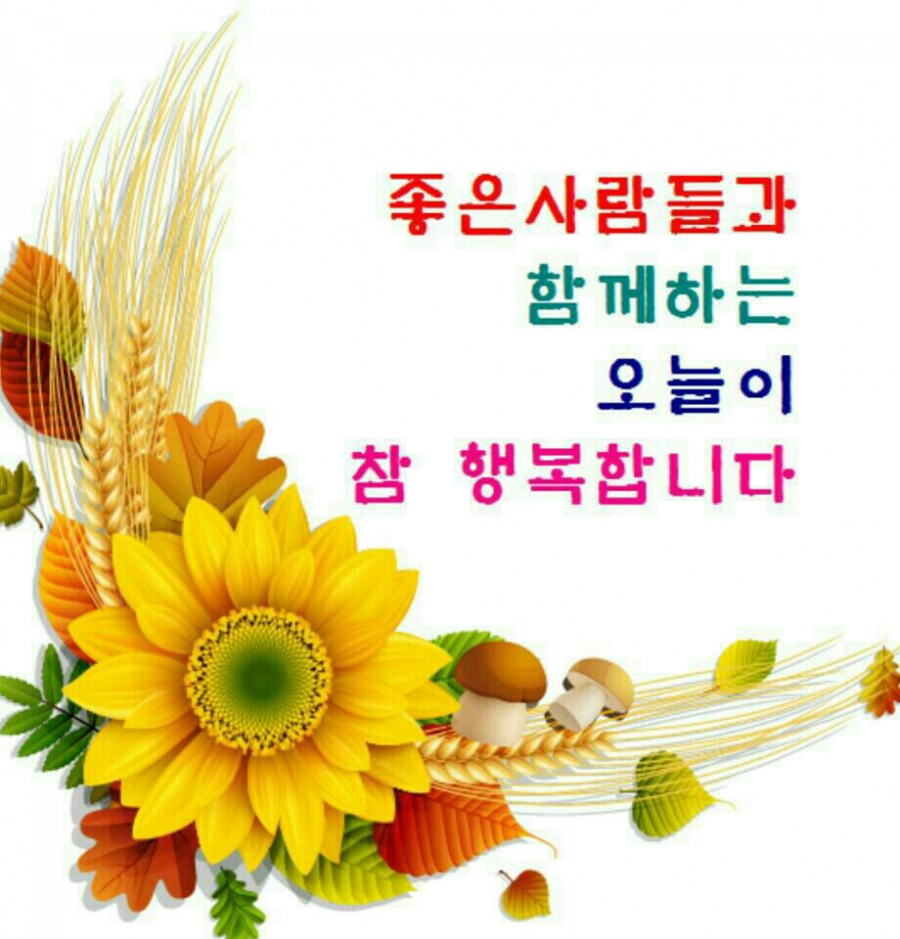 아모레카운셀러 이미지