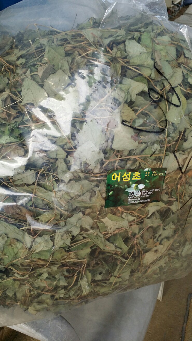 비봉울금 이미지