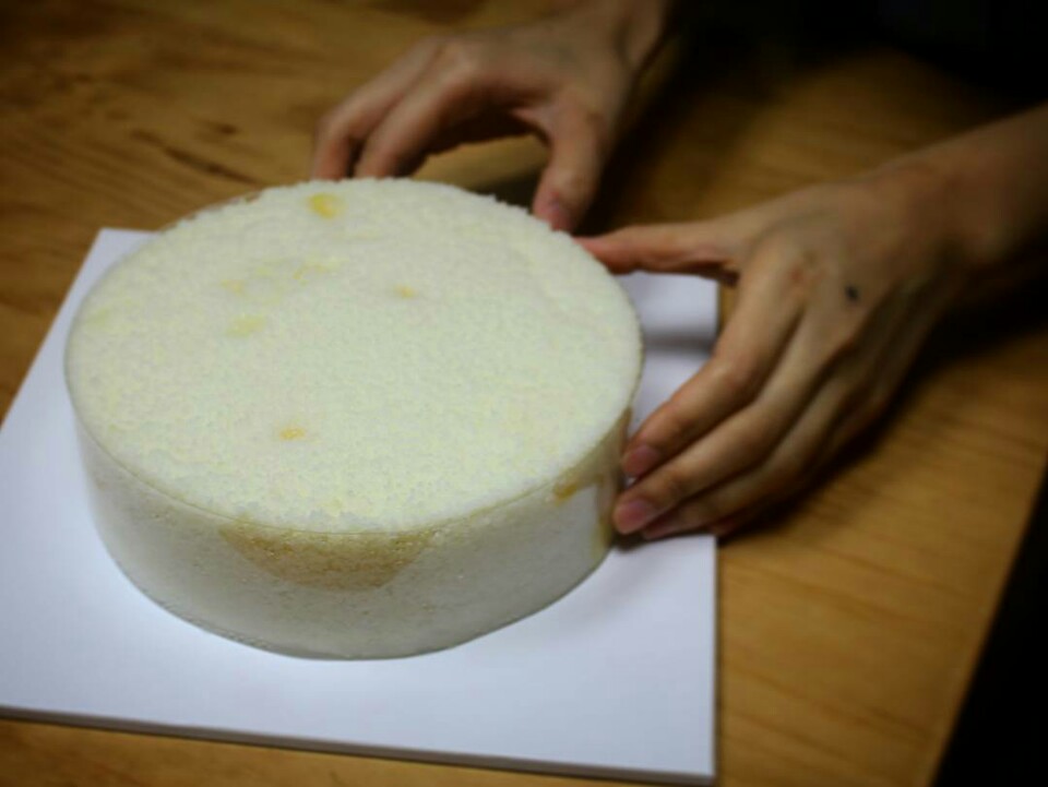 치즈플라워 이미지