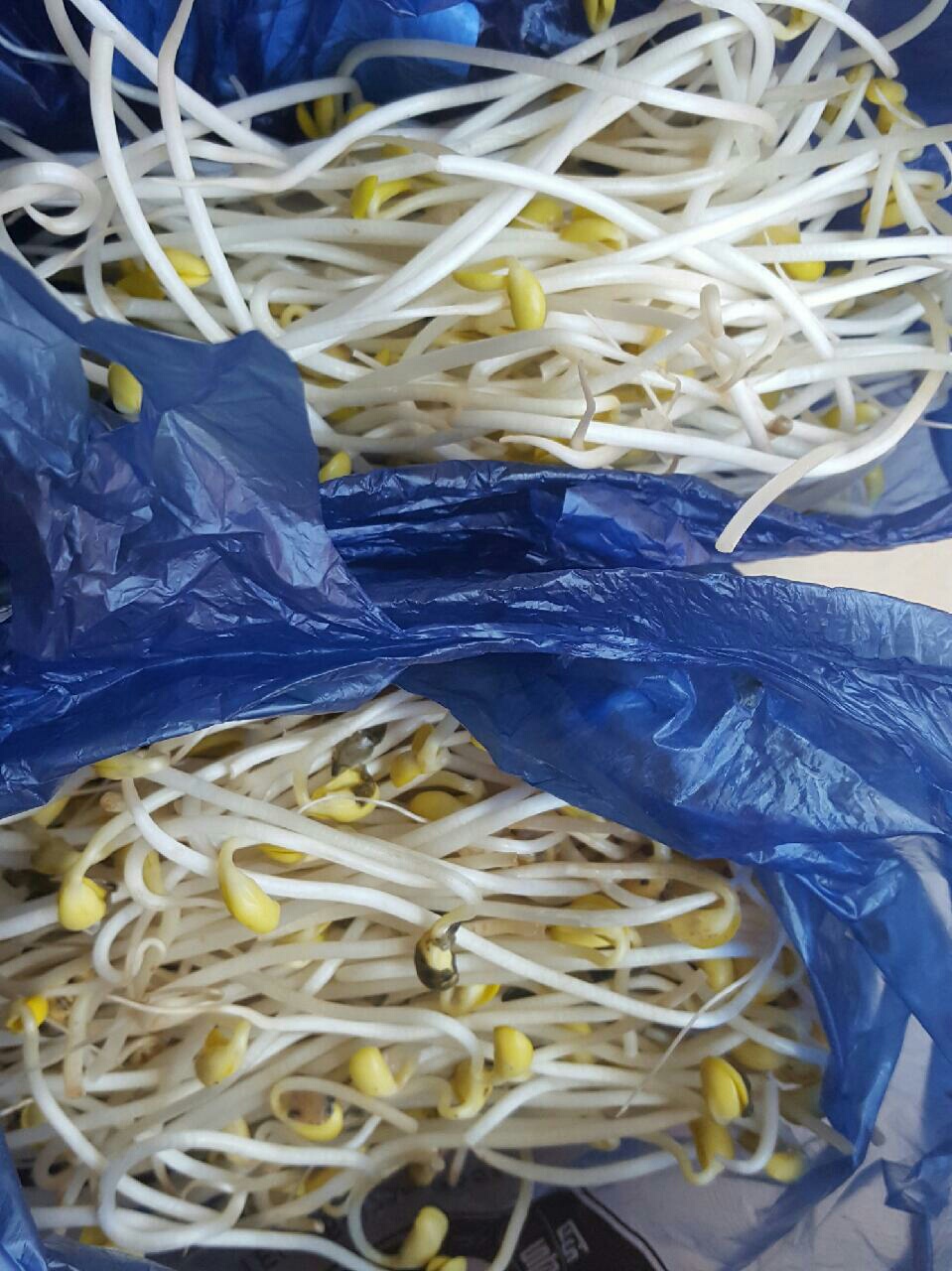 입장농협하나로마트 이미지