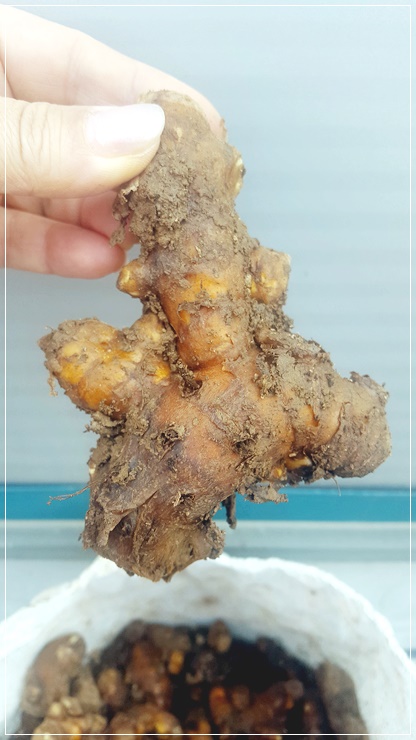 오지랖연구회 이미지