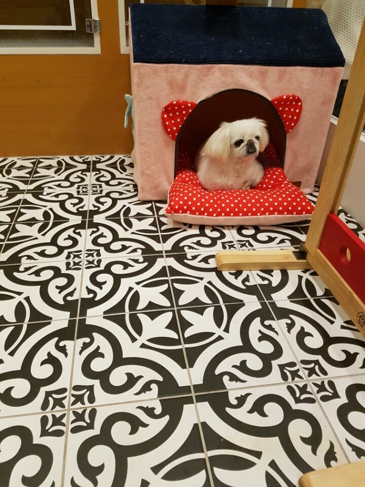 가야호텔주 이미지