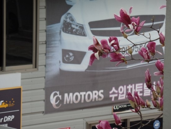 씨씨모터스 이미지