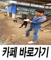 솔미민박 이미지