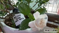 (주)페어트레이드코리아 이미지