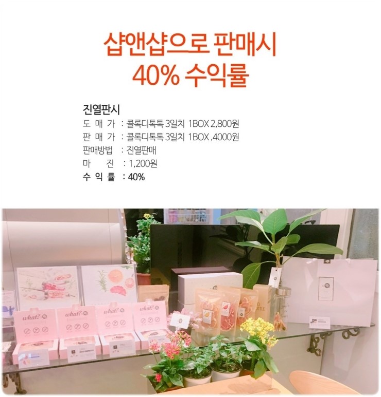 디자몽 이미지