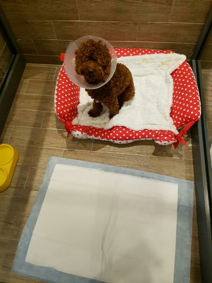 가야호텔주 이미지
