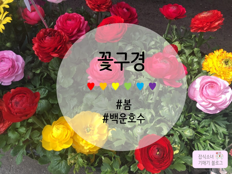 백운화원 이미지
