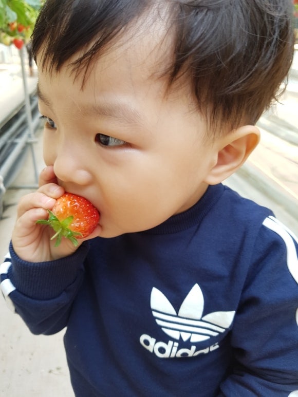 사랑애어린이집 이미지