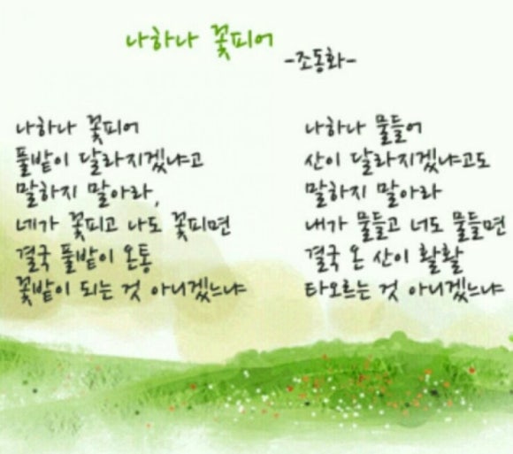 나하나 이미지