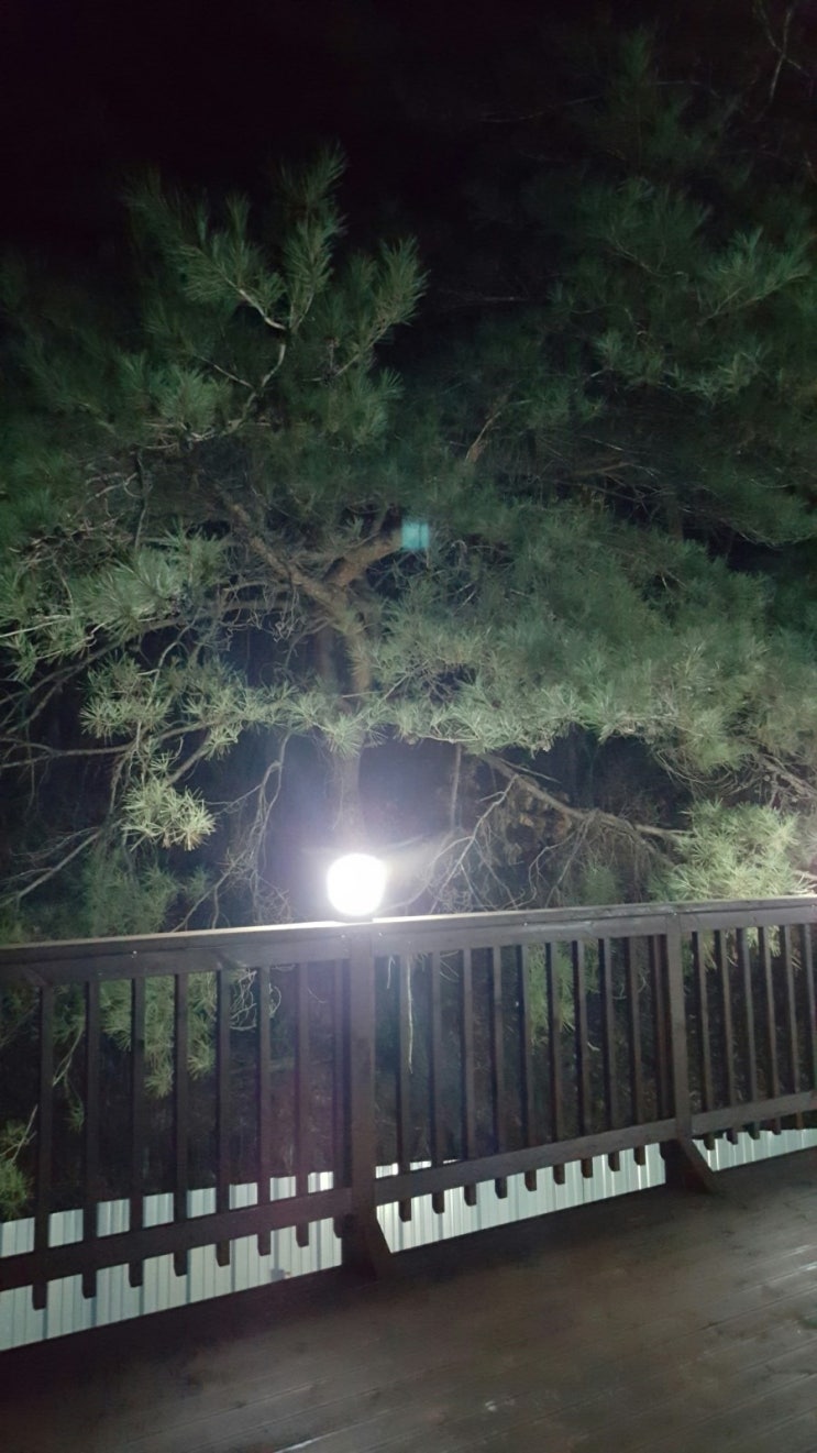 솔미민박 이미지