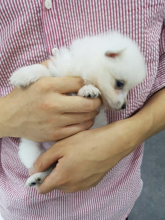 완전좋아 이미지