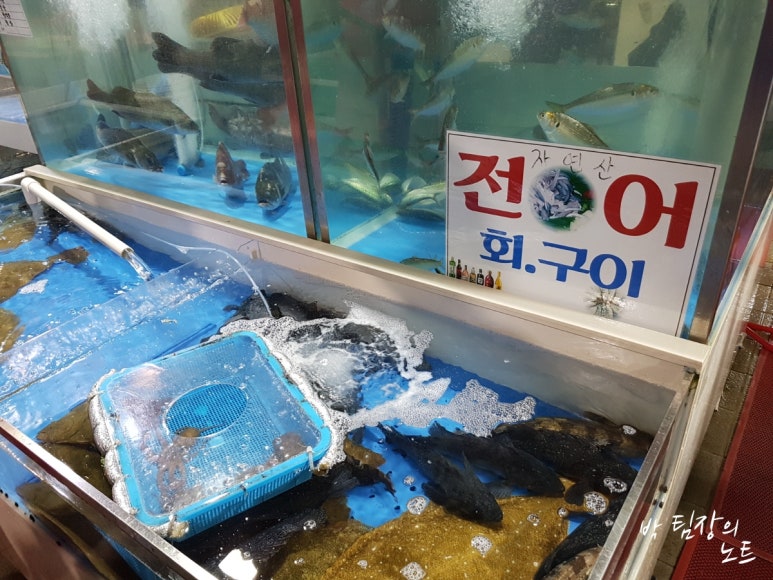 초지호 이미지