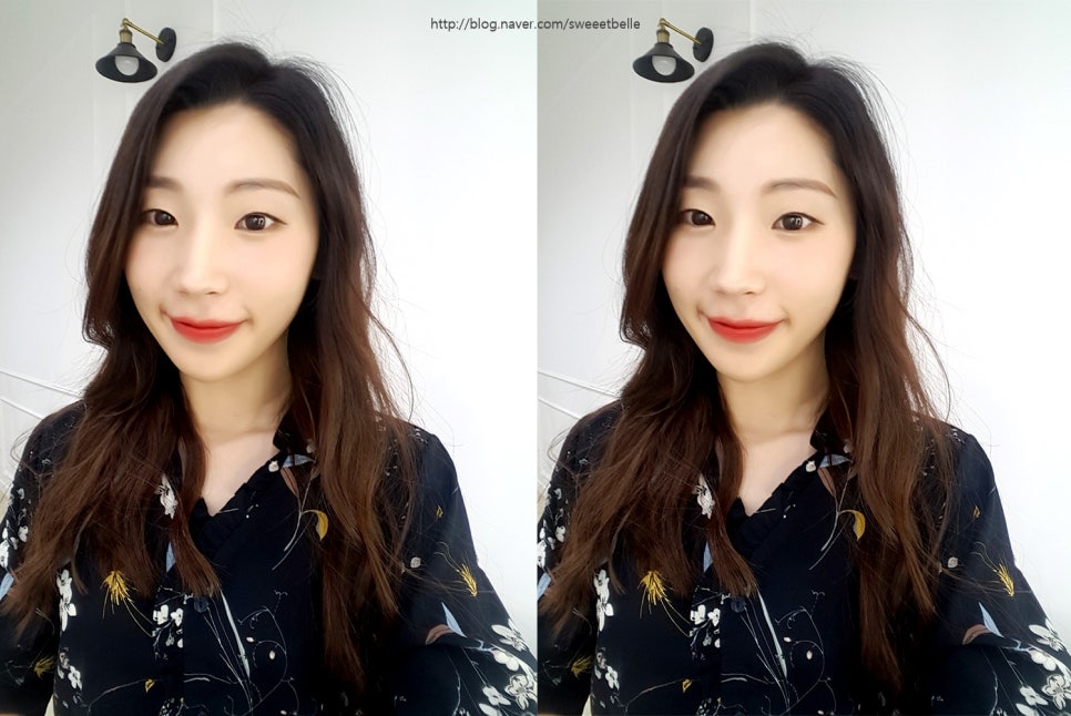 하비스트문 이미지