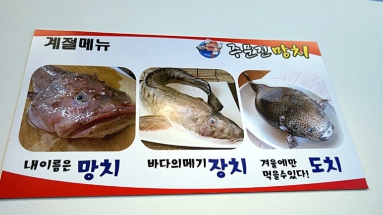 주문진망치 이미지