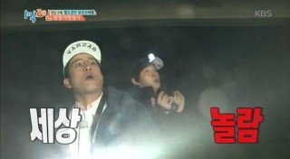 미돼지 이미지