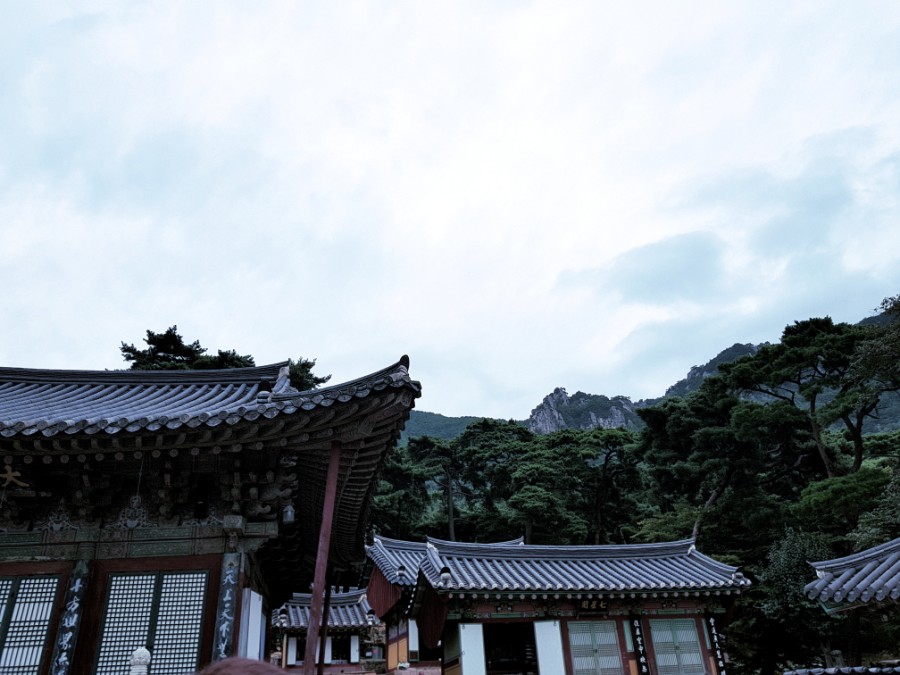 더블유엠 이미지