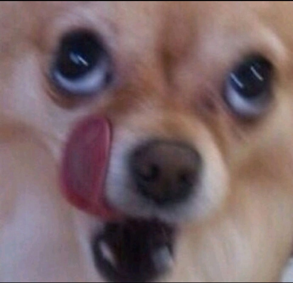 연길꼬치 이미지