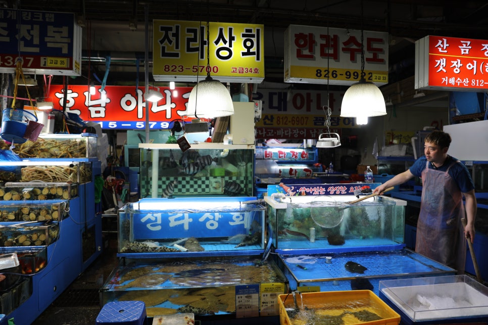 진호상회 이미지