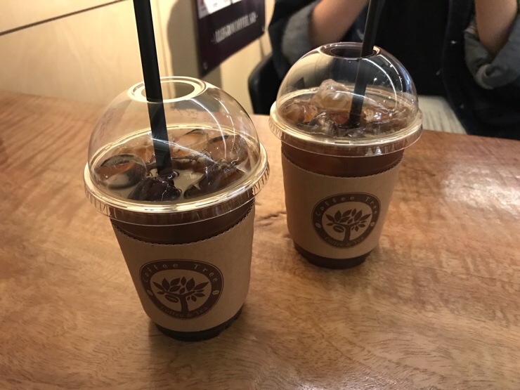 커피트리(COFFEE TREE) 이미지