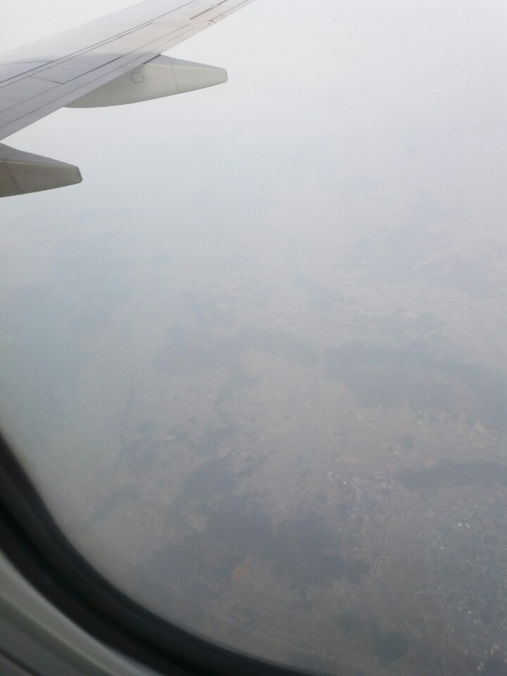 해변의돼지 이미지