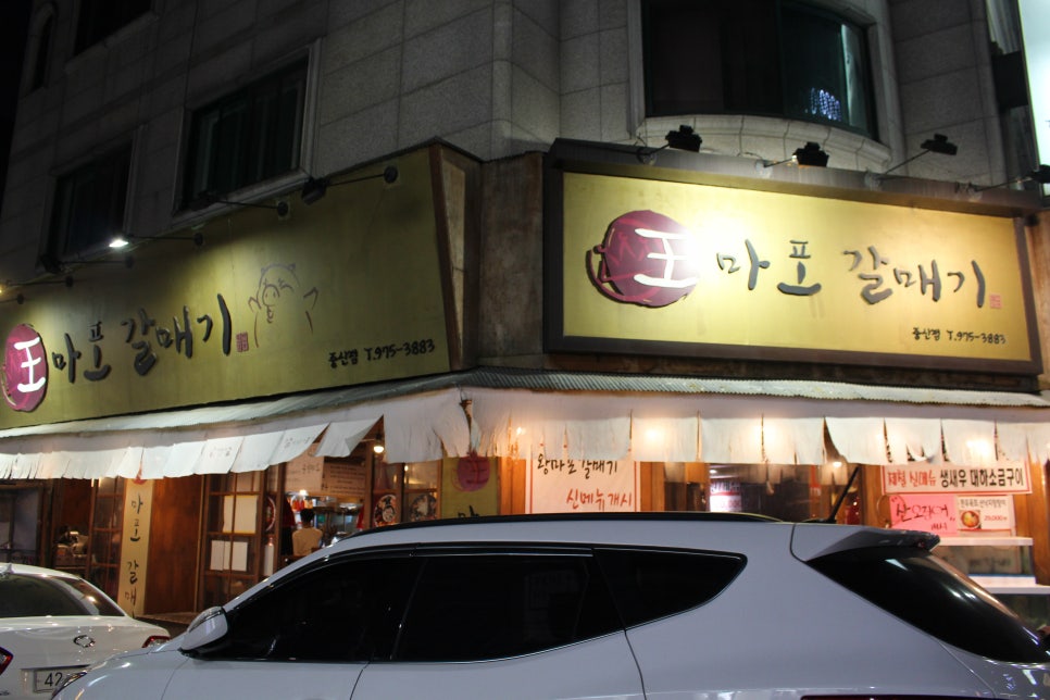 왕마포갈매기 이미지