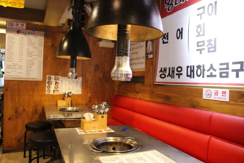 왕마포갈매기 이미지