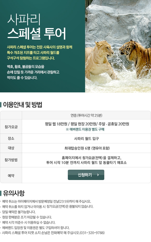 에버투어 이미지