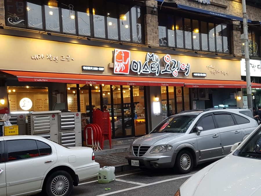 미스터오징어 이미지
