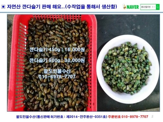 자연산다슬기 이미지