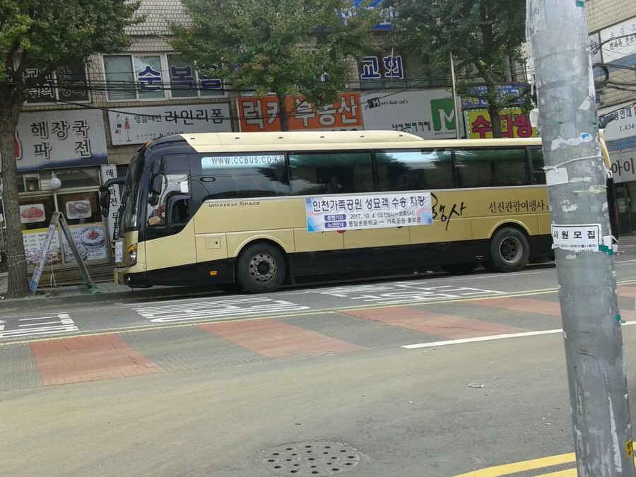 선진관광여행사 이미지