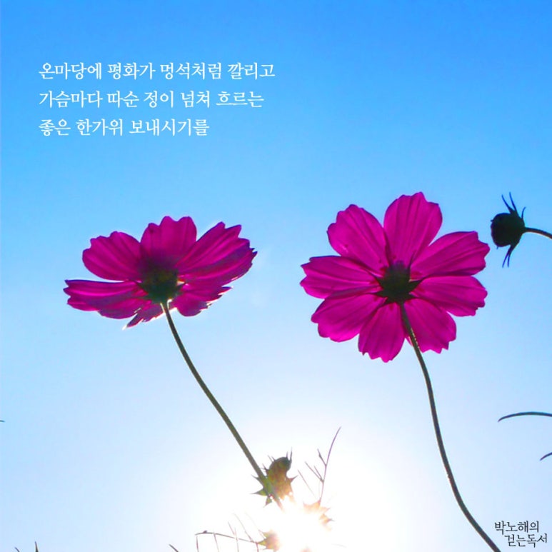 글마당 이미지