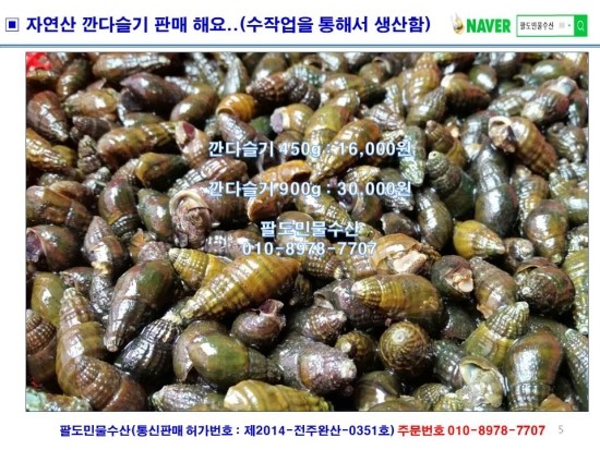 자연산다슬기 이미지