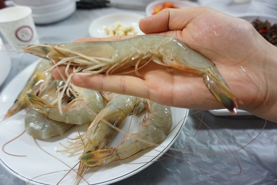 태광수산 이미지