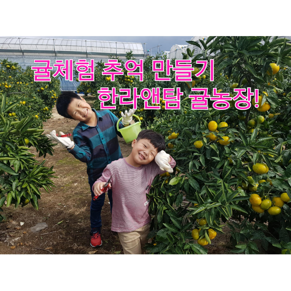 한라앤탐 이미지