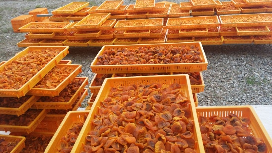 지리산처럼영농조합법인 이미지