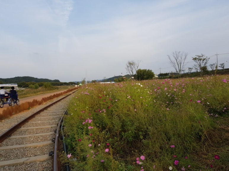 코스모스미용실 이미지