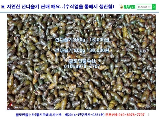 자연산다슬기 이미지