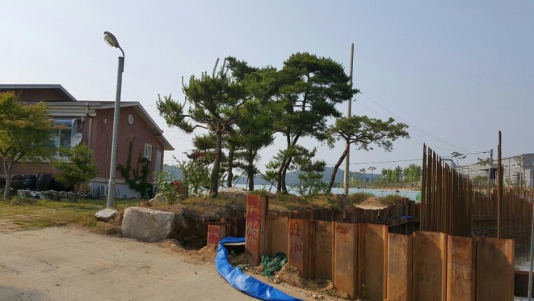 대박네 이미지