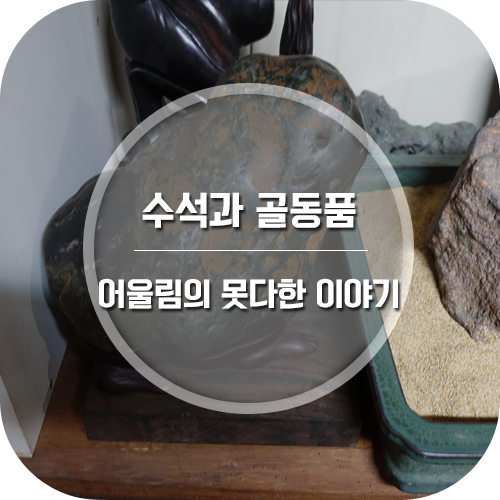 꽃드림농원 이미지