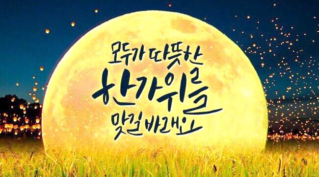 엠스타일 이미지