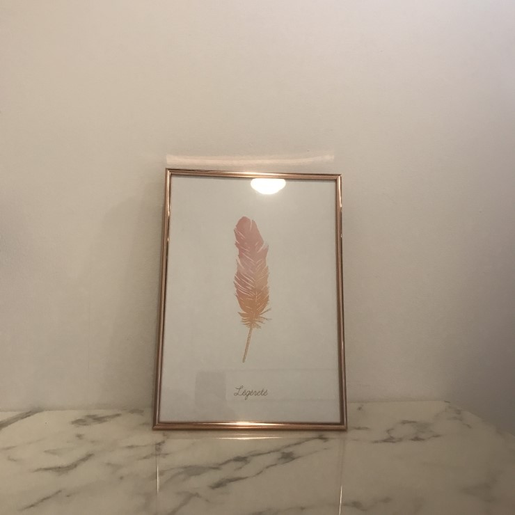 픽서스 이미지
