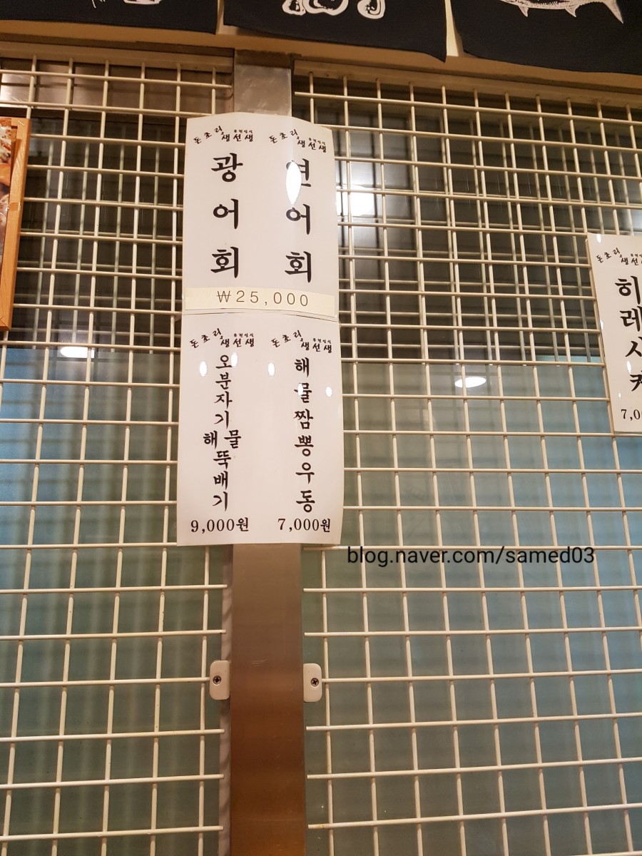 돈초리&생선생 이미지