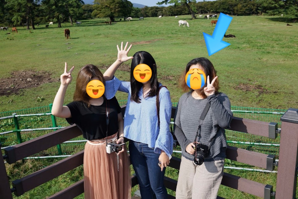 비비스헤어 이미지