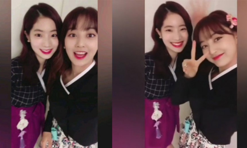 지효한복 이미지