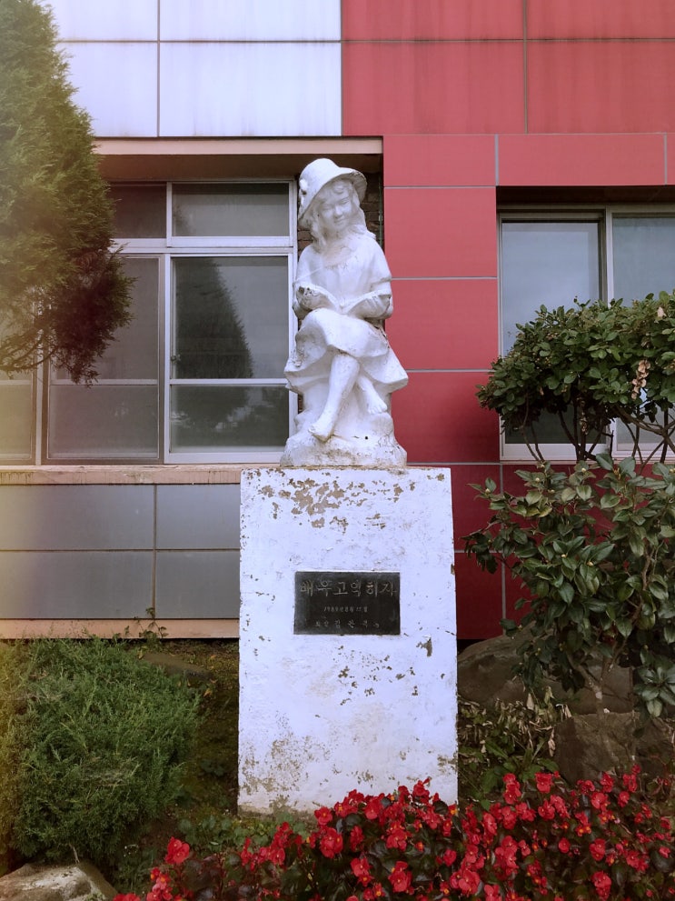 대관초등학교 이미지