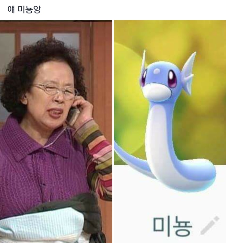 강원도오징어순대 이미지