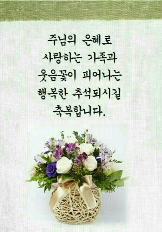 탁씨네 이미지