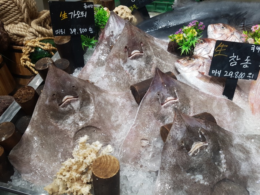 앗싸마켓 이미지